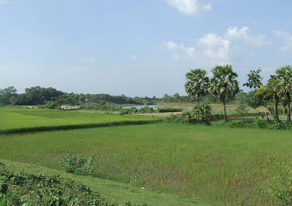 Nature of Bangladesh